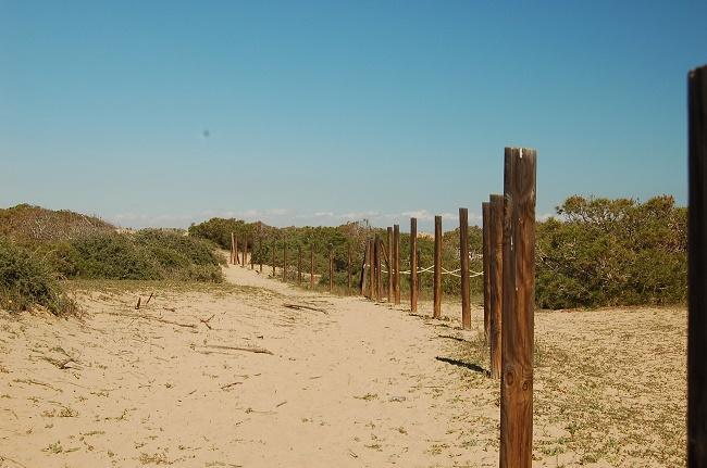 Apartamento Pinada Beach- La Mata Ла-Мата Екстер'єр фото